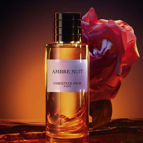 ambre nuit dior shower gel|perfume dior unisex.